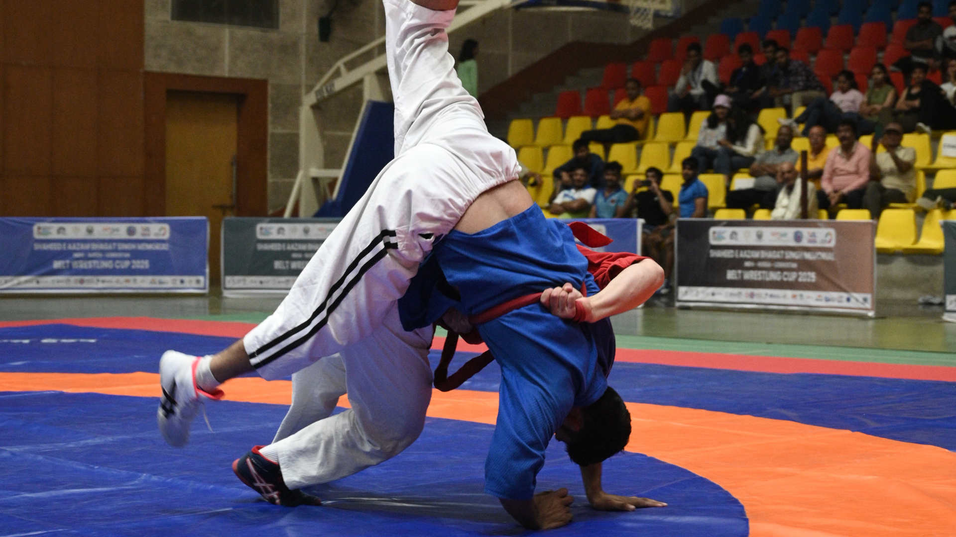 Image 2